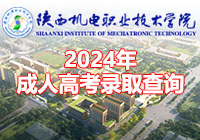 2024成考录取查询